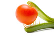 Concept.The predatory cucumber devours a tomato