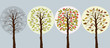Trees in seasons