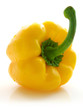 yellow Pepper