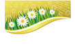 Spring2