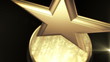 Gold Star Award