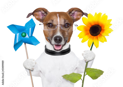 Photo: eco energy dog eco energy dog