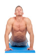 bodybuilder