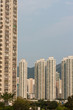 high-rises in Sha Tin