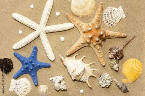 Photo: Shells and starfish on beach on sand background abstract Shells and starfish on beach on sand background abstract
