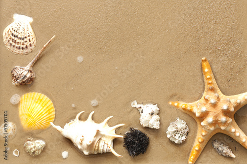 Photo: Shells and starfish on beach on sand background abstract Shells and starfish on beach on sand background abstract