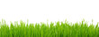 grass on white