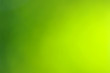 Photo: green bokeh green bokeh