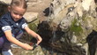 Child Washing her Hands in Spring Water, Girl Playing in Water