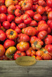 Foto: Tomatoes labeled Tomatoes labeled