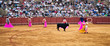 Corrida toreros at the Real Maestranza de Caballeria in Seville,