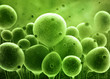 Bacteria concept 3d illustration