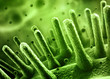 Bacteria concept 3d illustration