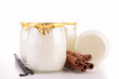 isolated yogurt
