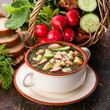 Okroshka - Russian kvass Cold Soup with Vegetables