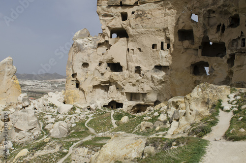 Photo: Trop glodytes Trop glodytes