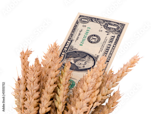Photo: wheat ripe harvest ears usa dollar cash banknote wheat ripe harvest ears usa dollar cash banknote