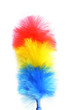 Foto: Feather duster Feather duster