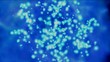 Blue Plankton