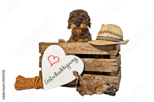 Photo: Gartendekoration, Dackel, Tafel, Entschuldigung Gartendekoration, Dackel, Tafel, Entschuldigung
