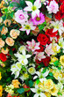 Bunch of flowers