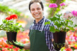 Man holding flowers working in a greenhouse in garden center