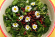 SALAT-TIPPS, Vogerlsalat mit Speck und Gänseblümchen