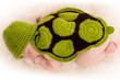 bébé habillé en tortue