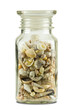 sea shells in a jar on pure white background