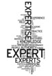 Word Cloud "Expert"