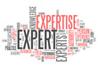 Word Cloud "Expert"