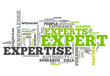 Word Cloud "Expert"