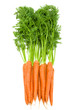 Foto: Bunch of fresh raw carrots with green tops isolated Bunch of fresh raw carrots with green tops isolated