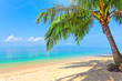 Foto: beach with coconut palm and sea beach with coconut palm and sea