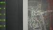 Servers full of data blinking 