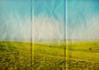 paper fields