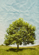 Foto: paper tree paper tree
