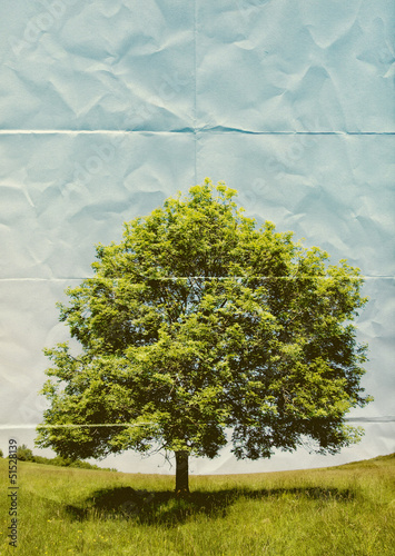 Photo: paper tree paper tree