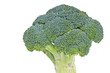 Broccoli on a white background.