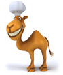 Camel chef