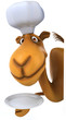 Camel chef