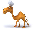Illustration: Camel chef Camel chef