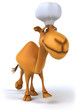 Camel chef