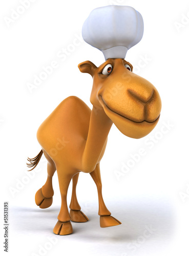 Illustration: Camel chef Camel chef
