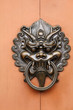 Lion Door Lock