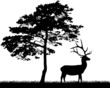 Vector: deer near large pine deer near large pine