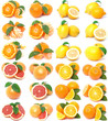 Fresh citrus
