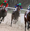 Horse racing.