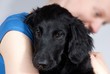 woman holding puppy