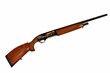 gun